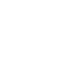 BRAIN AT A GLANCE 1